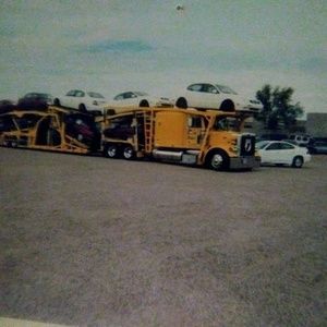 Meet your Posher, Bradley